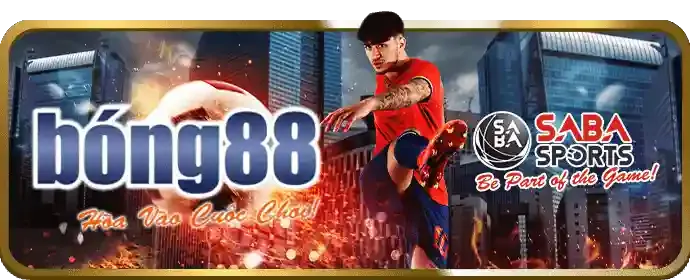 Trải nghiệm giải trí trên thiết bị di động