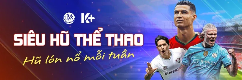 Các chương trình khuyến mãi và ưu đãi